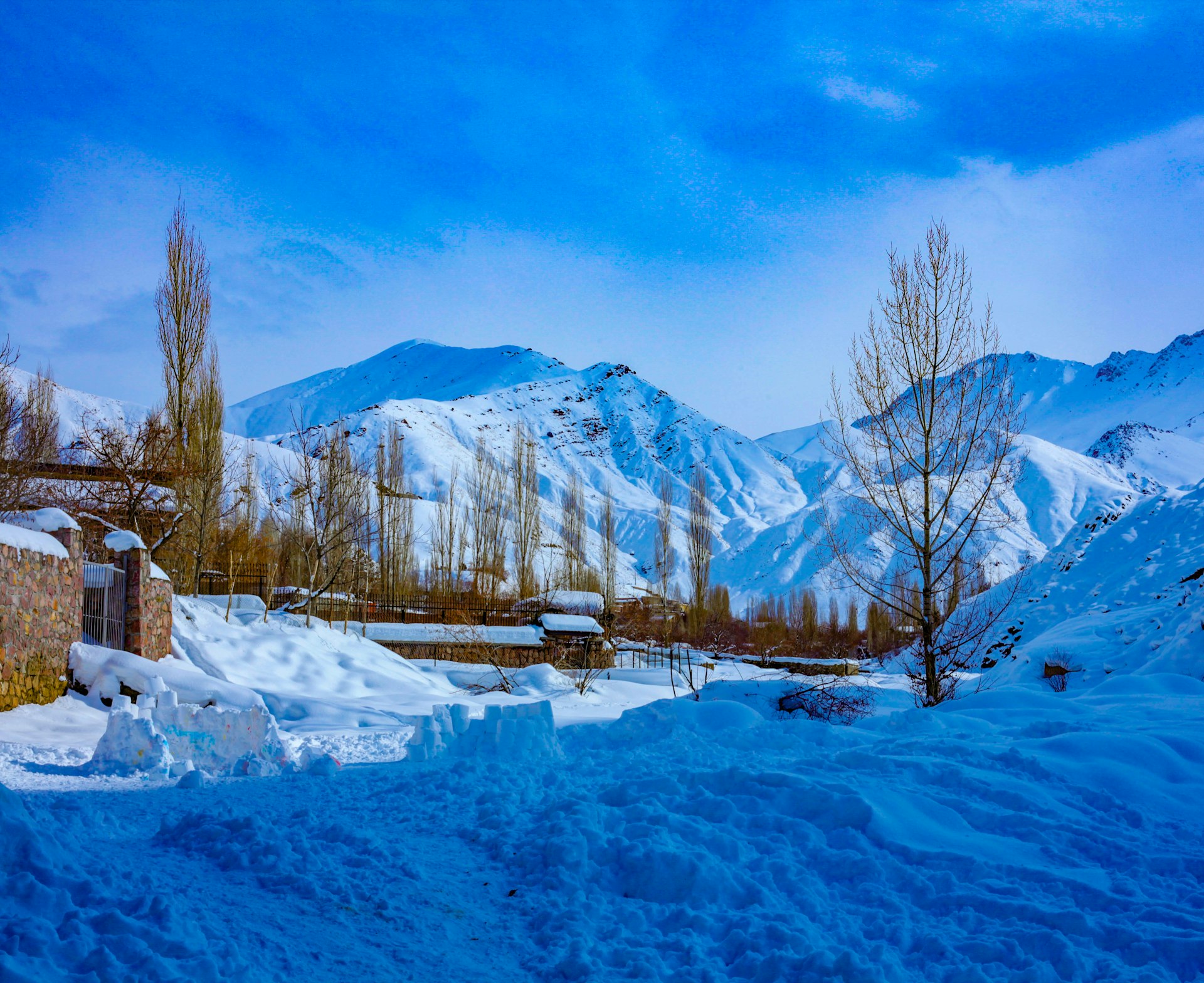 buildings and bare trees on snowfield during daytime